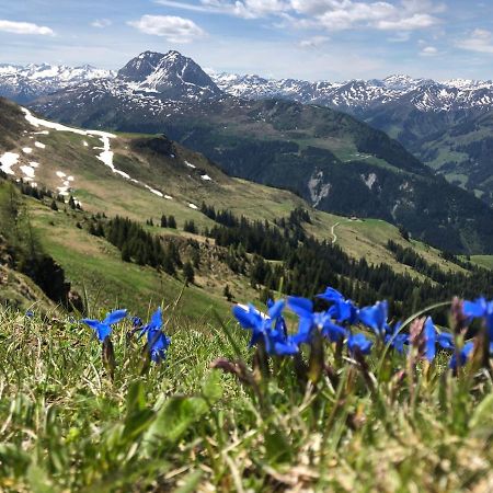 Sonnenschein Appartement Rebecca Kirchberg in Tirol Luaran gambar