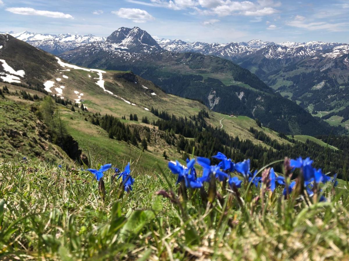 Sonnenschein Appartement Rebecca Kirchberg in Tirol Luaran gambar
