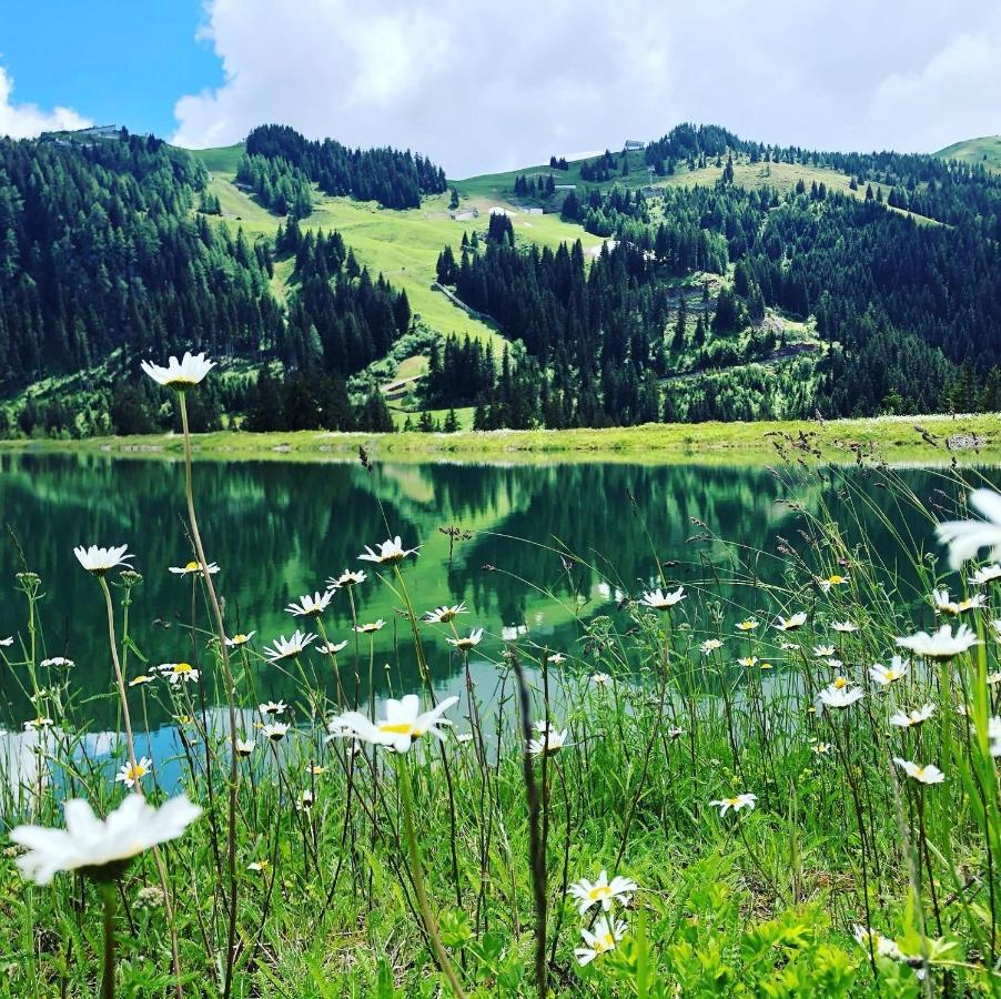 Sonnenschein Appartement Rebecca Kirchberg in Tirol Luaran gambar